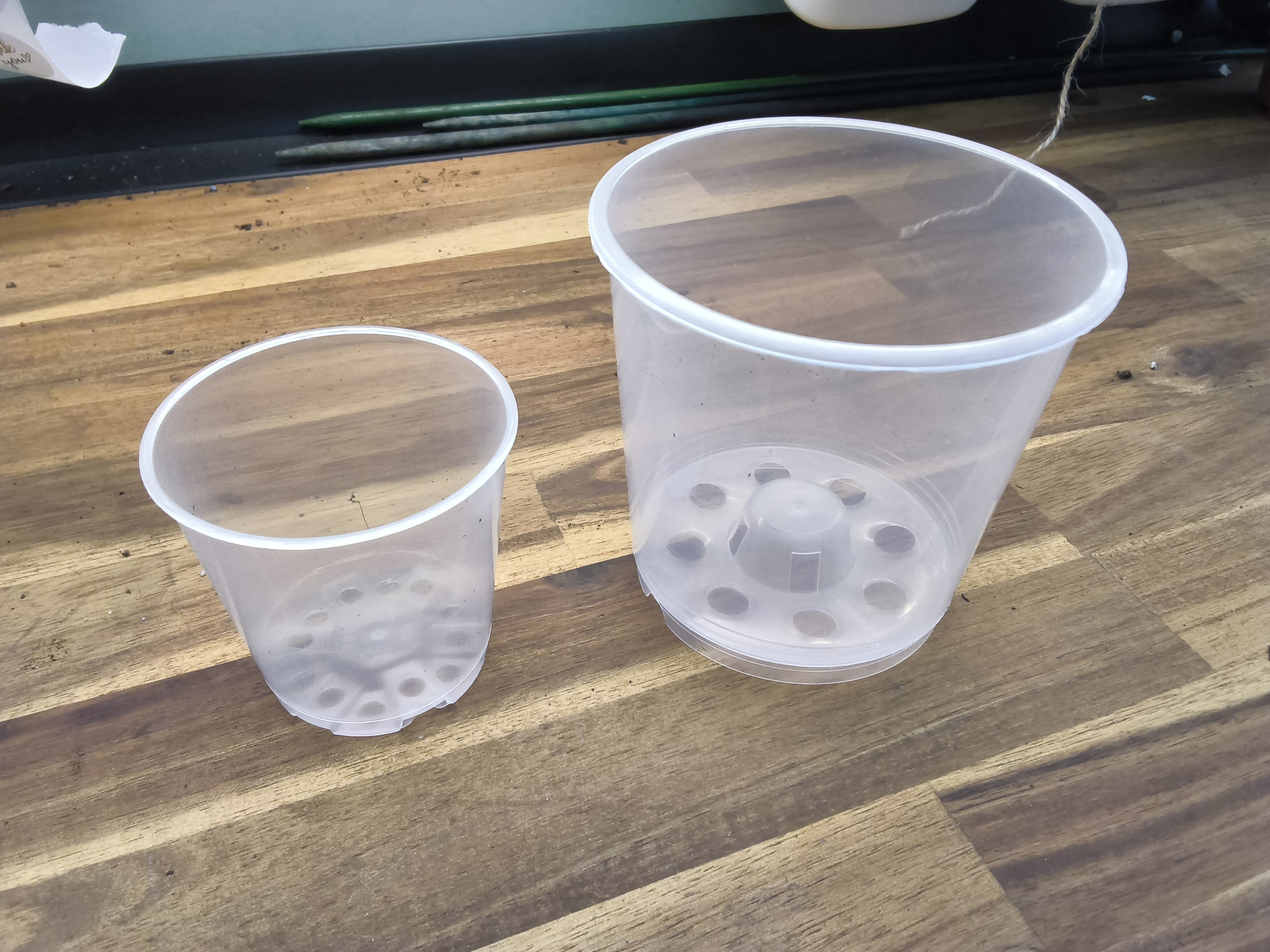 POT TRANSPARENT