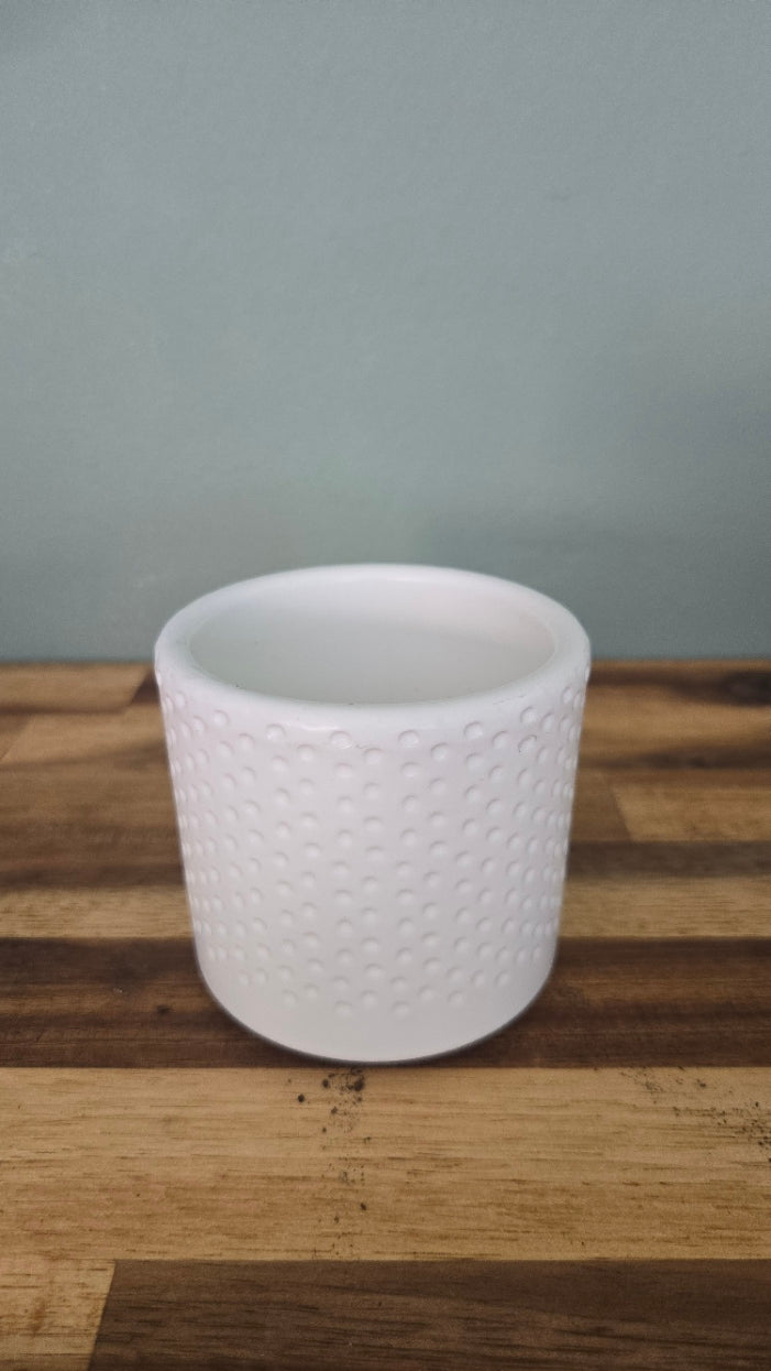 CACHE POT 7 CM