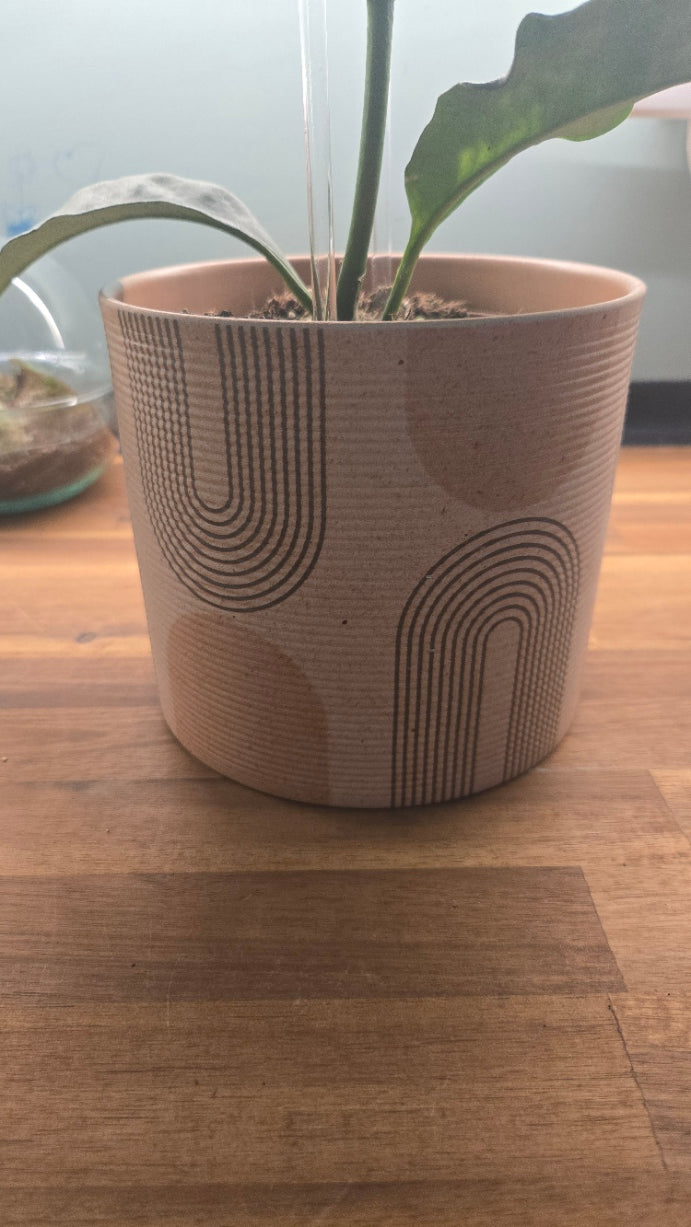 CACHE POT TERRACOTTA GRAPHIQUE
