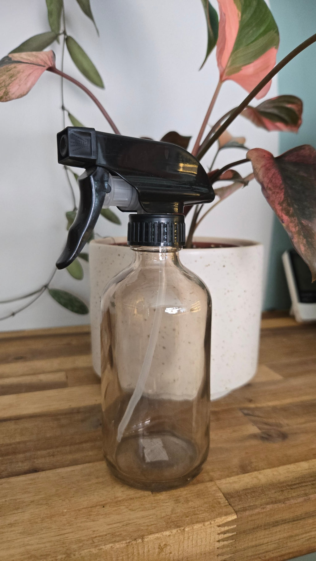 SPRAY POUR PLANTE 250 ML