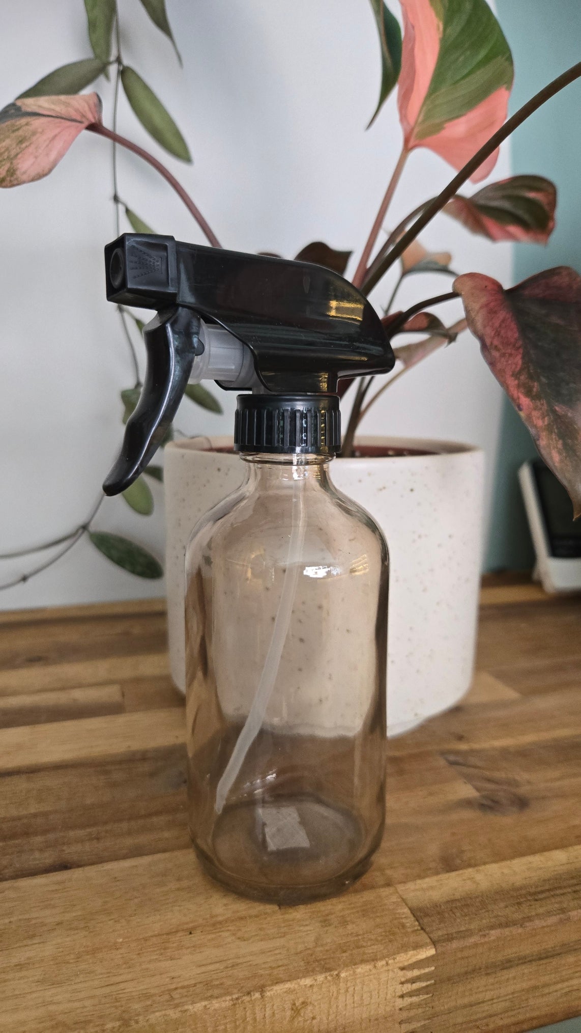 SPRAY POUR PLANTE 250 ML
