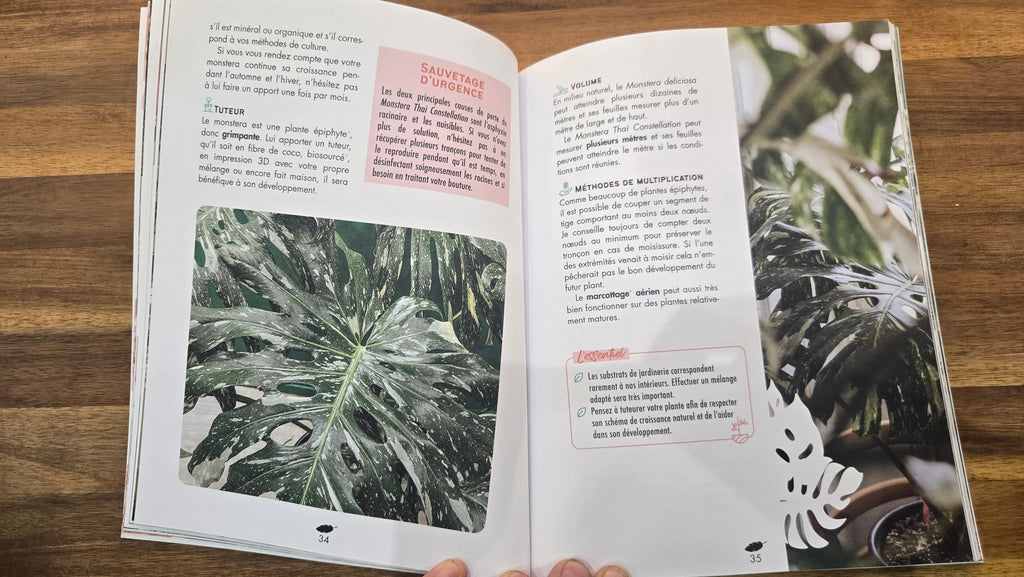 MA COLLECTION DE PLANTES RARES ET CURIEUSES