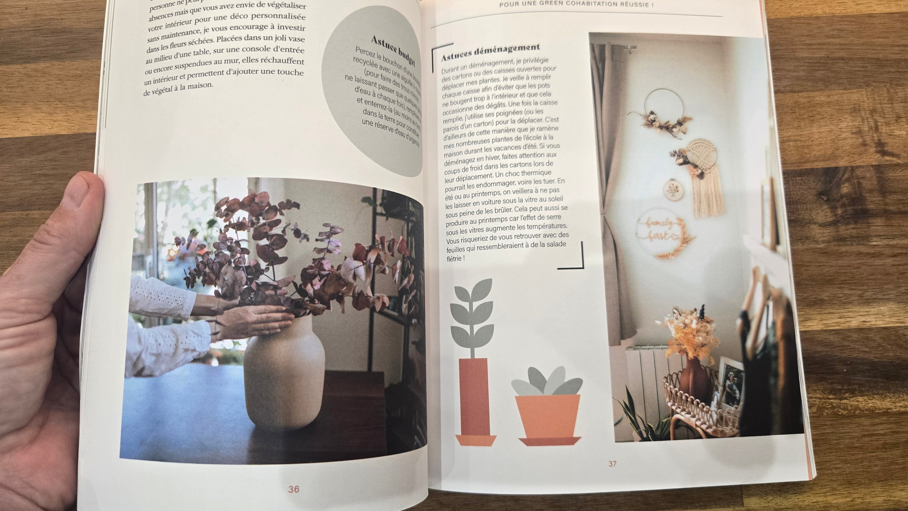 VEGETALISEZ VOTRE INTERIEUR