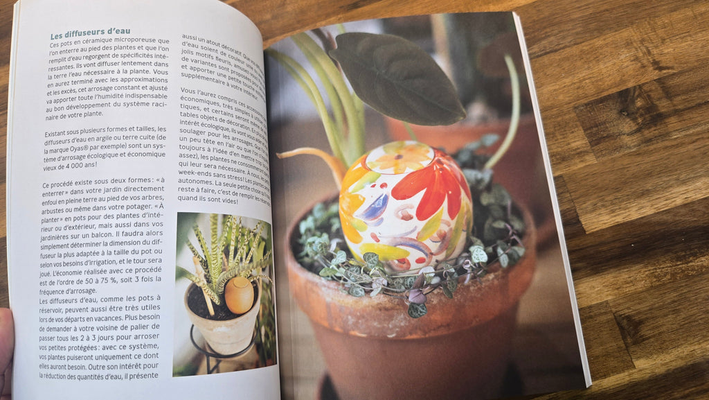 PERMACULTURE D INTERIEUR
