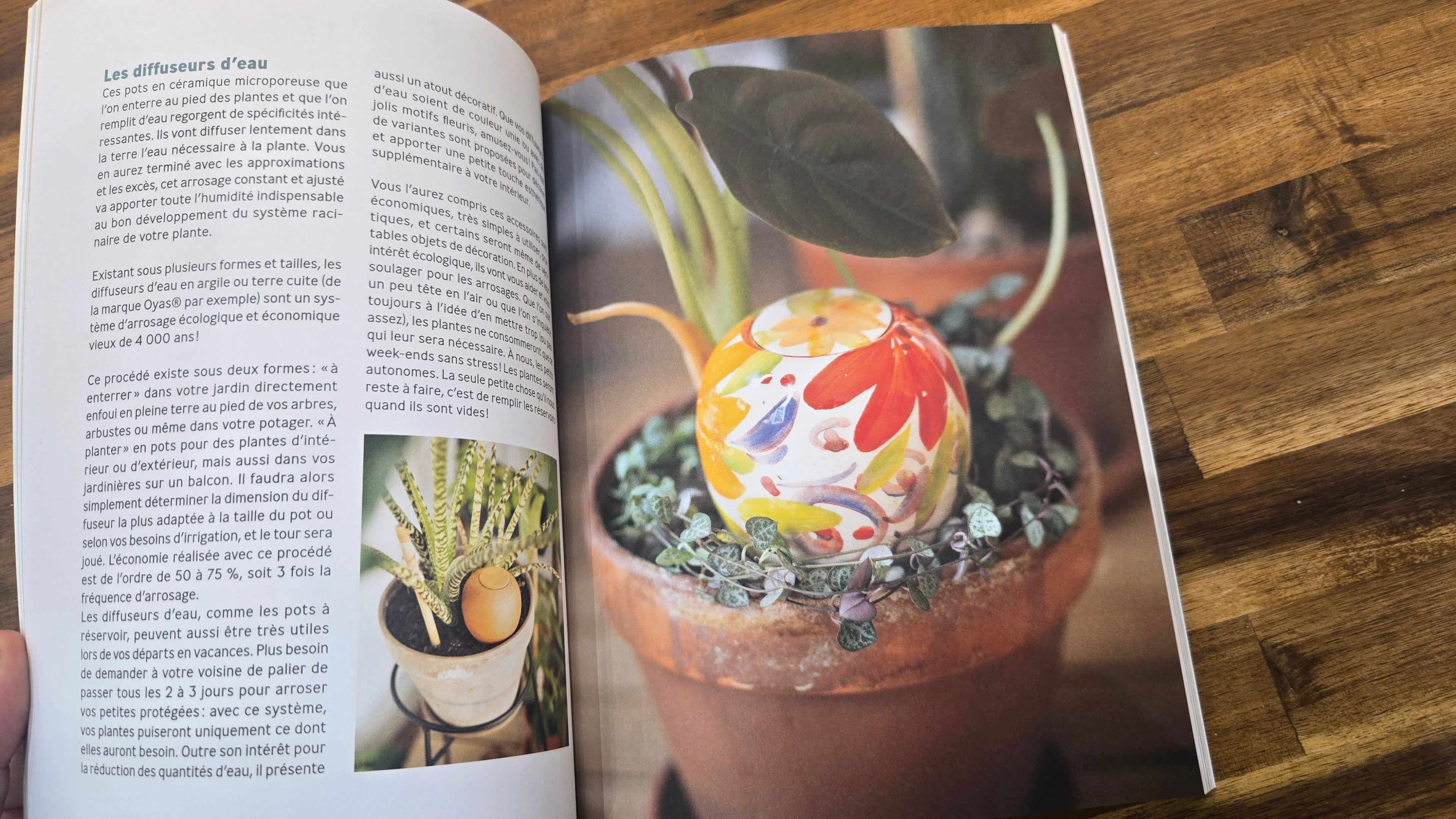 PERMACULTURE D INTERIEUR