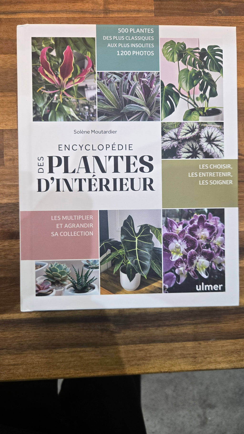 ENCYCLOPEDIE DES PLANTES D INTERIEURES