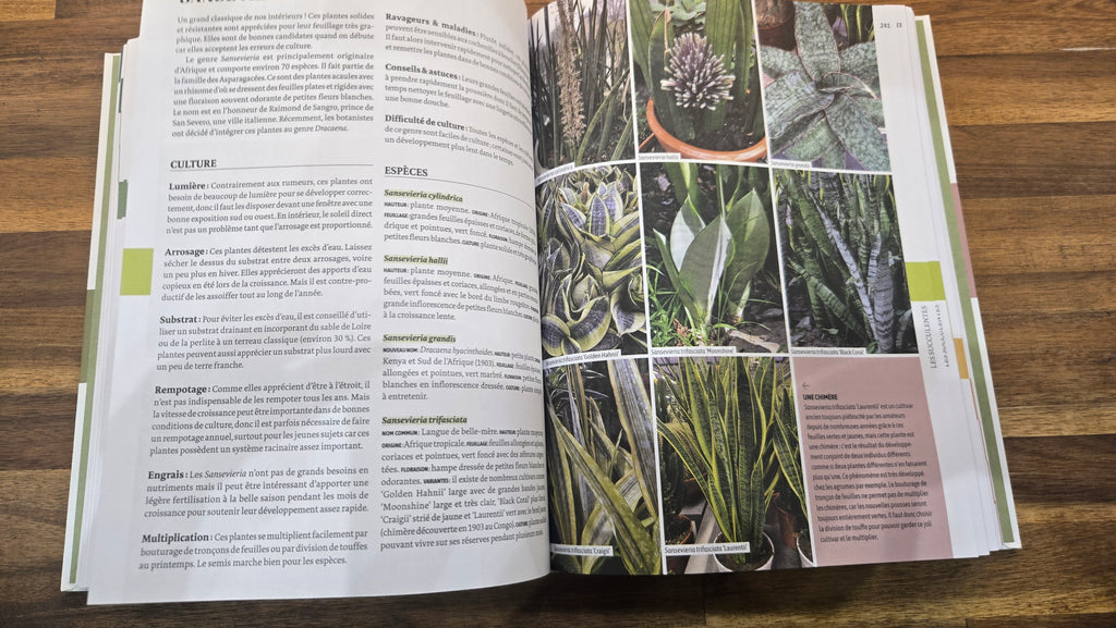 ENCYCLOPEDIE DES PLANTES D INTERIEURES
