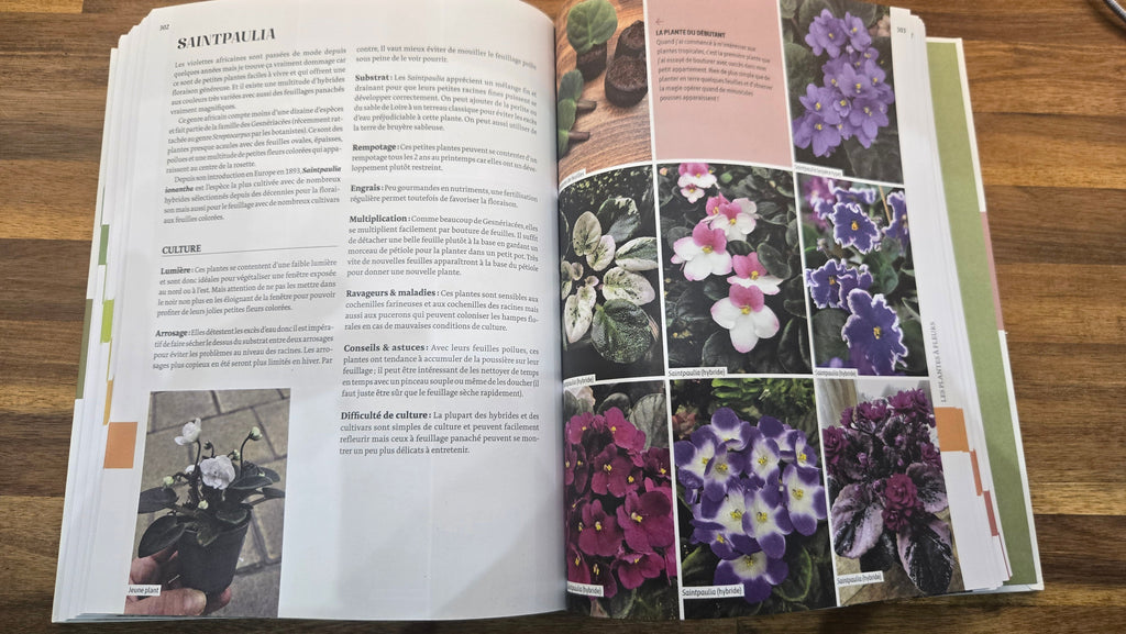ENCYCLOPEDIE DES PLANTES D INTERIEURES