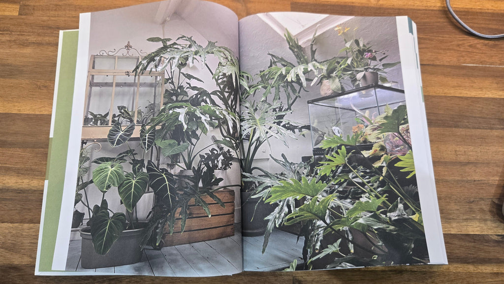 ENCYCLOPEDIE DES PLANTES D INTERIEURES