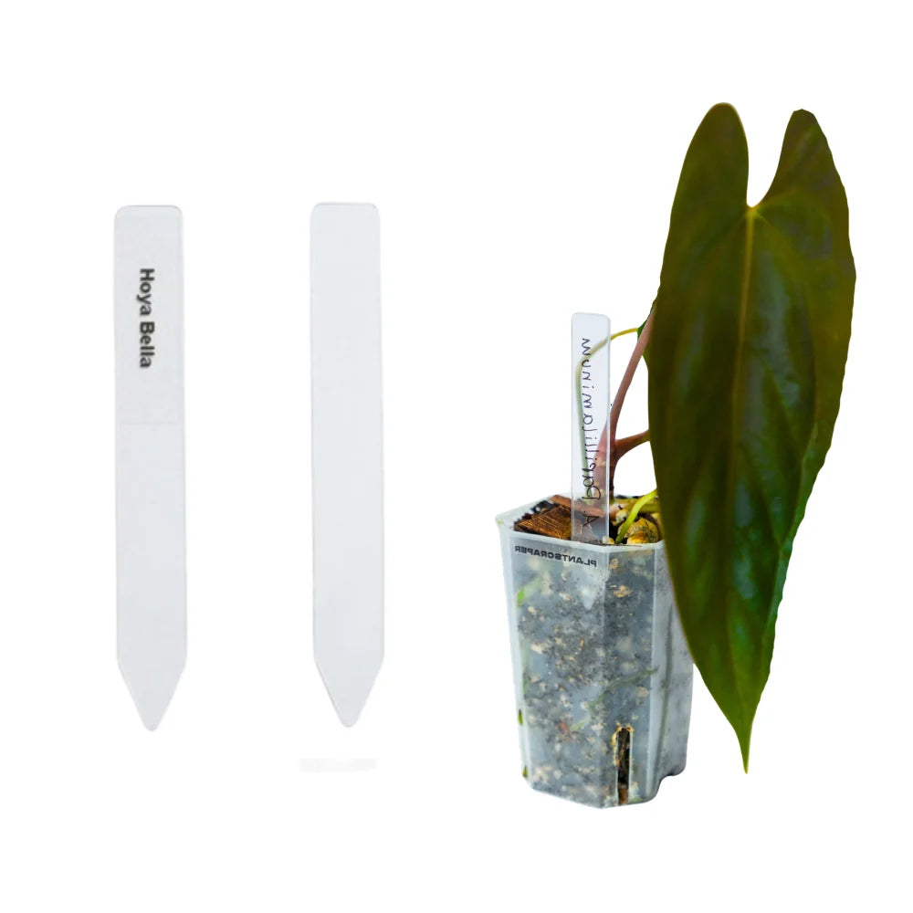 ETIQUETTE POUR PLANTE EN ACRYLIQUE
