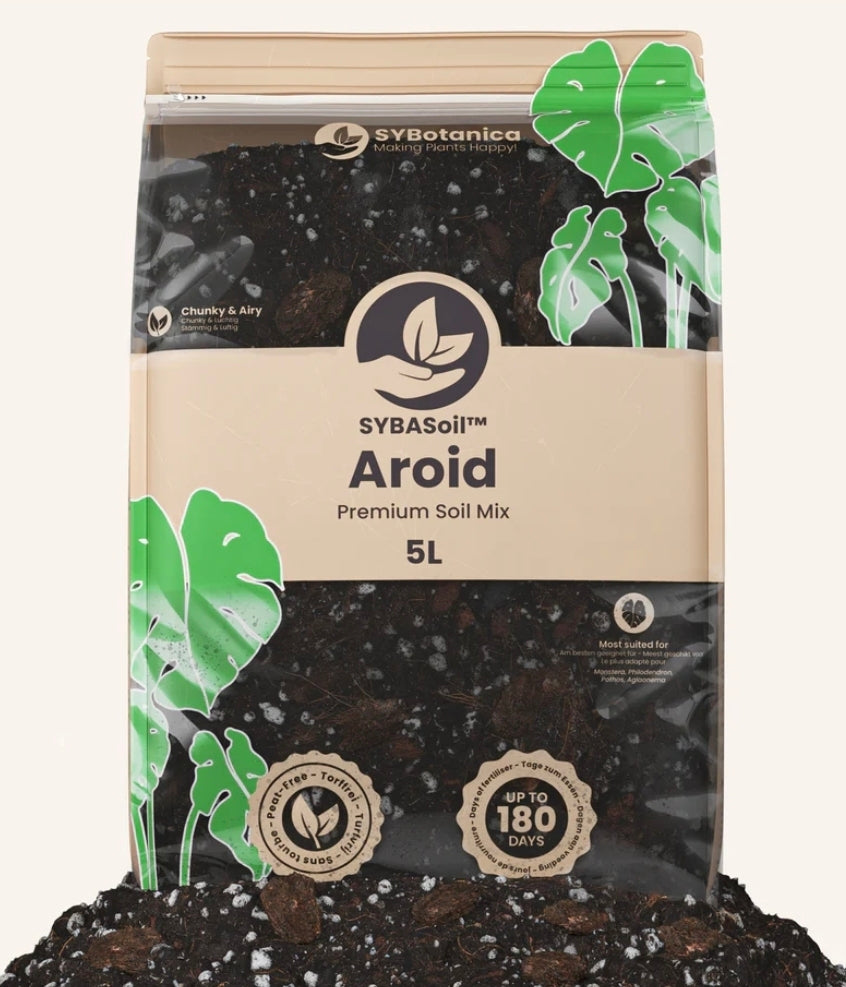 TERREAU AROID MONSTERA etc