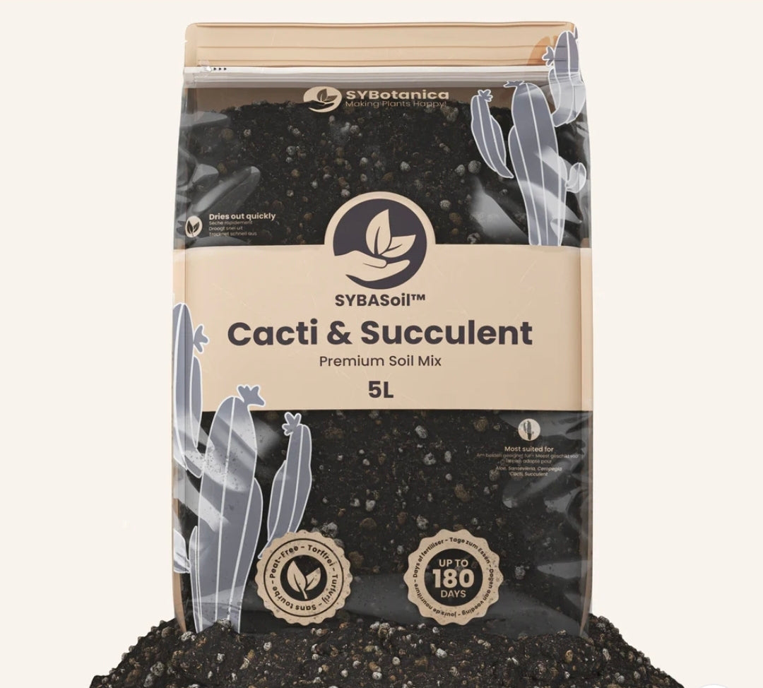 TERREAU CACTEES ET SUCCULENTES