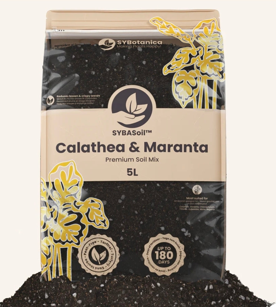 TERREAU CALATHEA ET MARANTA