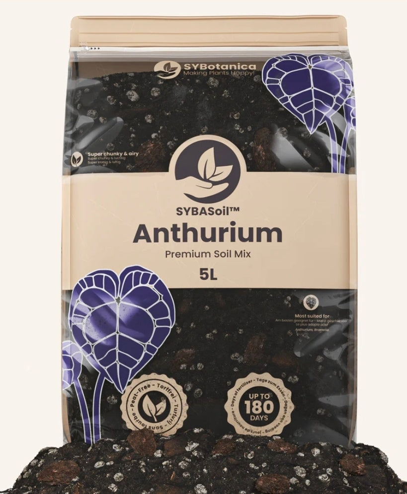 TERREAU ANTHURIUM