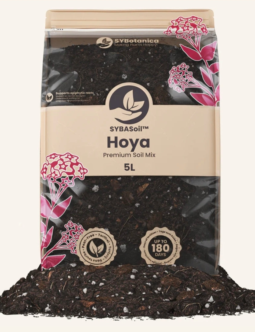 TERREAU HOYA