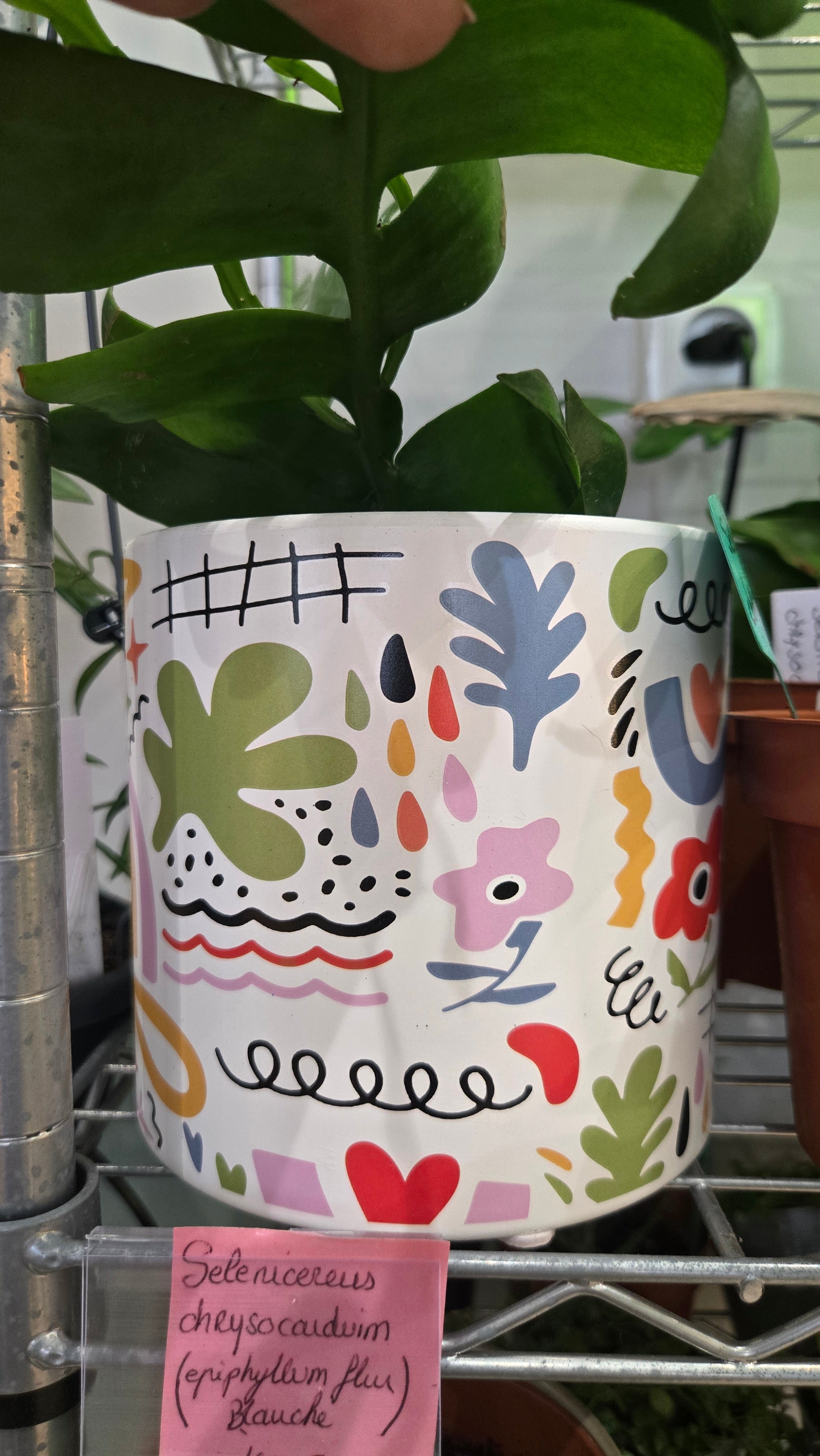 Cache pot
