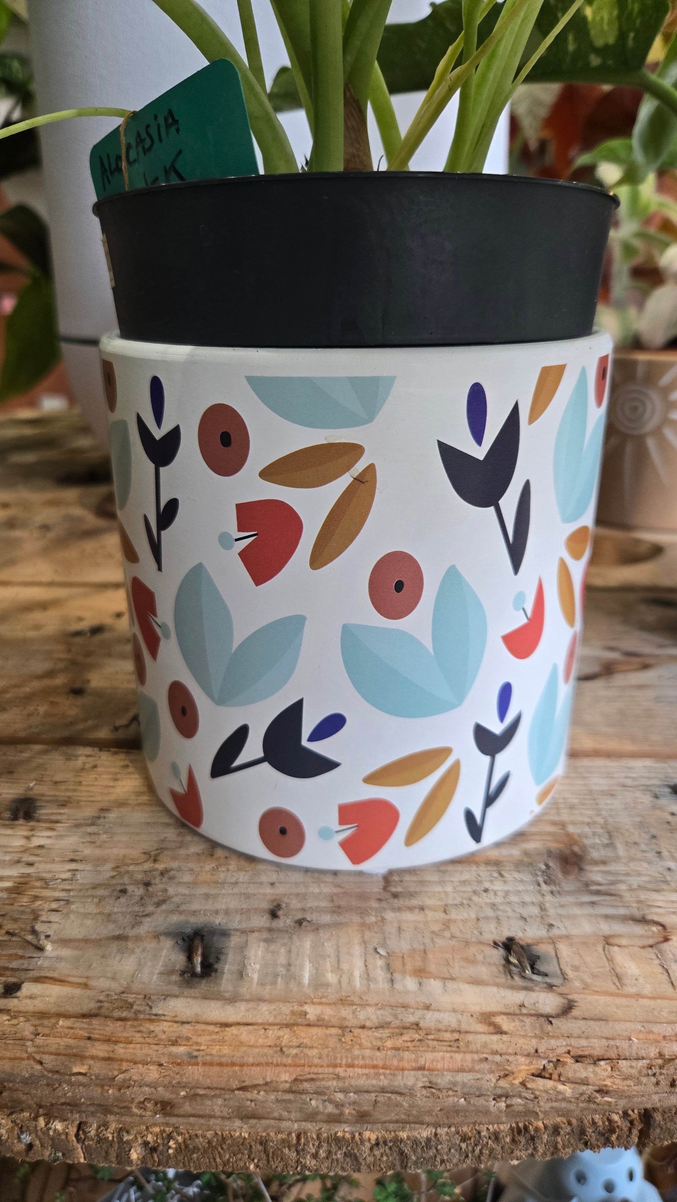Cache pot